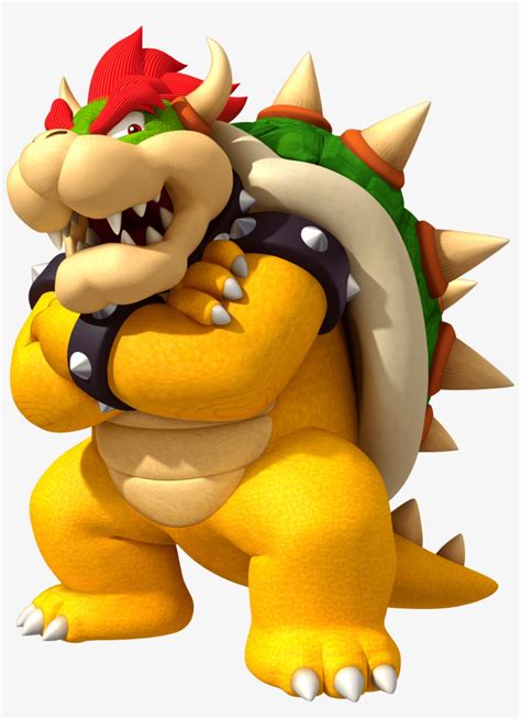 Bowser - Dragon De Mario Bros Transparent PNG - 1000x1000 - Free ...