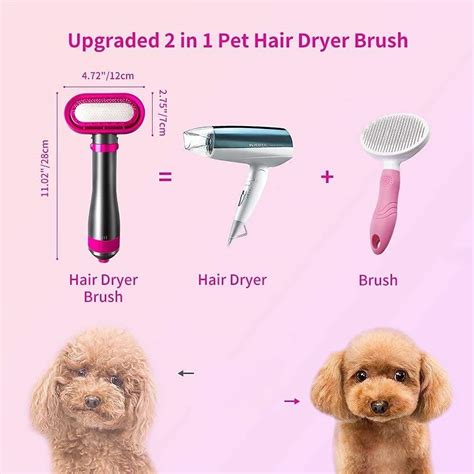 2 In 1 Pet Hair Dryer Blower Slicker Brush – Chyhua