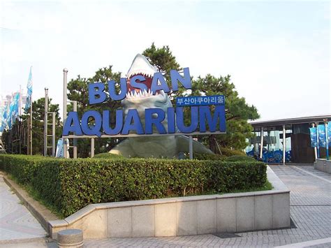 Sea Life Busan Aquarium, Busan, South Korea Tourist Information