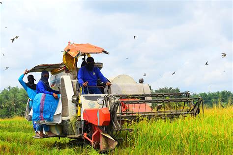 WV agri-fishery strong amid pandemic – NEDA