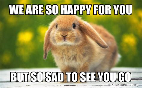 We are So happy for you but so sad to see you go - Regretful Rabbit Meme Generator