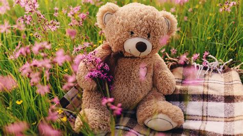 Cute Teddy Bear 5K Wallpapers | HD Wallpapers | ID #30582