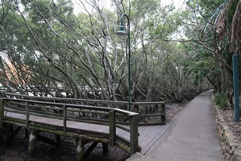 Brisbane City Botanic Gardens | Kim | Flickr