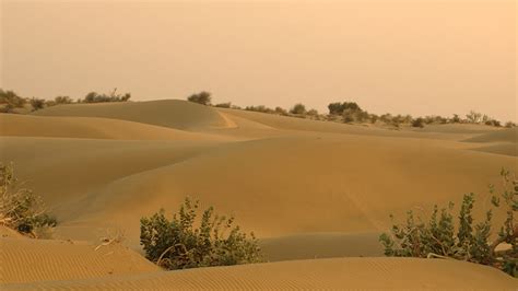 Thar Desert Rajasthan - Activities & Attractions of Thar Desert