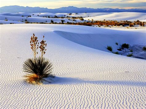 White Sands – the Largest Gypsum Desert in the World, USA