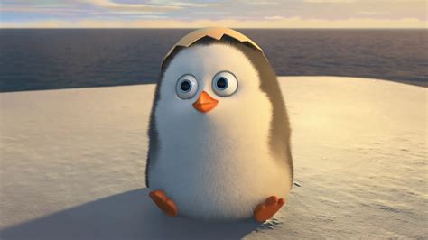 The Penguins Of Madagascar Movie 2014 Cute Baby Penguin Wallpaper - Id ...