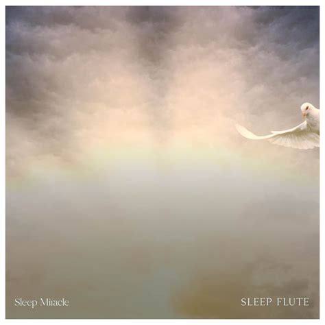 ‎Sleep Flute by Sleep Miracle on Apple Music