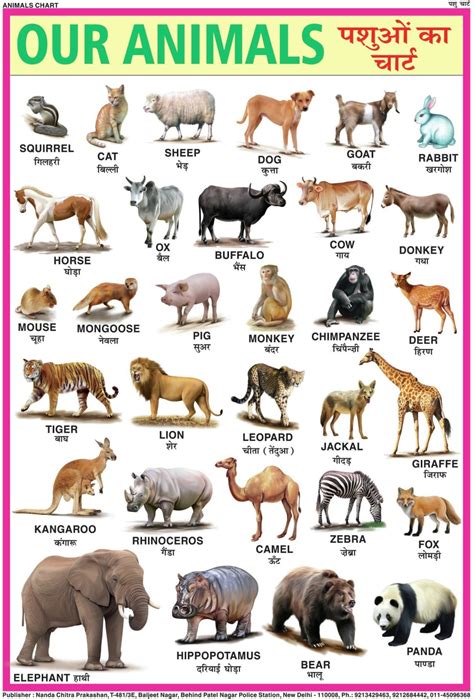 Wild Animals Chart For Kids