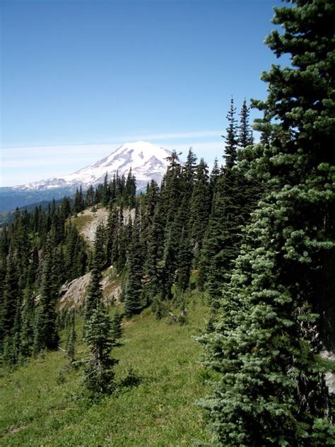 White Pass to Chinook Pass — Washington Trails Association