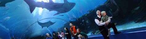 Aquarium And Coca Cola Tickets Atlanta - Aquarium Views