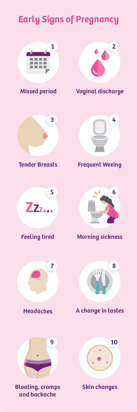 10 Weeks Pregnant Baby Development Symptoms Signs Week By Week - ZOHAL