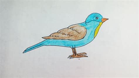 Birds Drawing For Colouring We ve got really simple outlines for ...