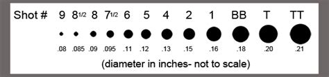 Shot size chart