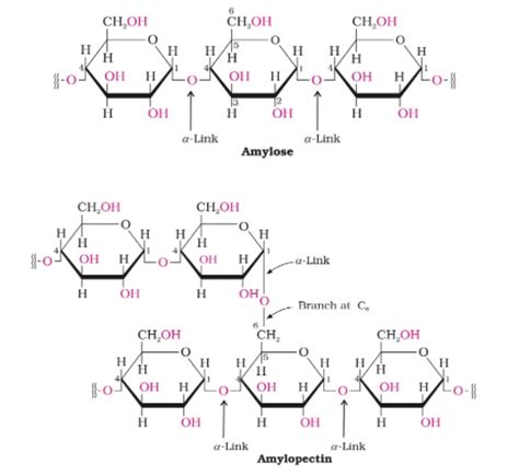 Chemical Structure Of Cellulose And Starch