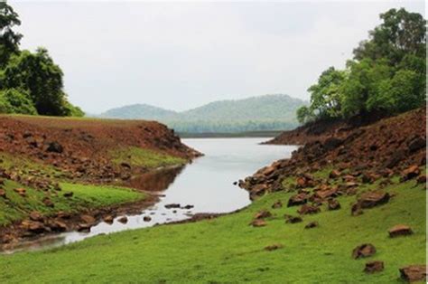 The first-ever bird survey in Tansa Wildlife Sanctuary was conducted recently, and the ...