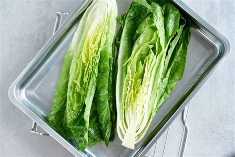 Roasted Romaine Lettuce - Medmunch