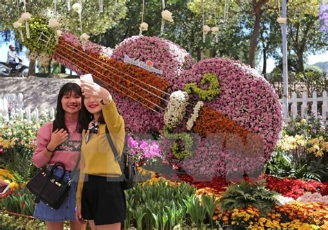 Da Lat flower festival to run in December - Viet Nam National Authority ...