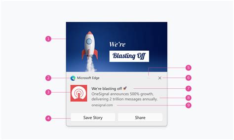 The Design and Anatomy of Push Notifications Across Devices