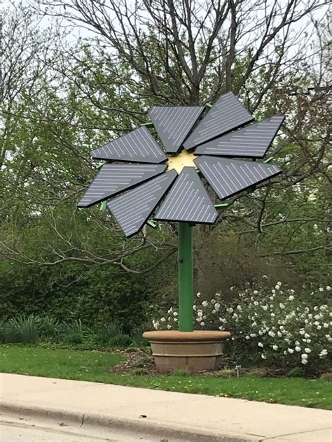 Solar Sunflower at Olbrich Botanical Gardens – Energy On Wisconsin – UW–Madison