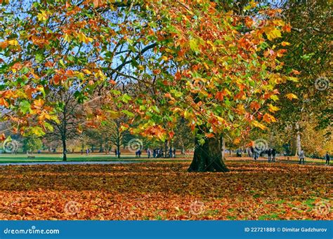 Autumn in Green Park, London Stock Photo - Image of park, environment ...