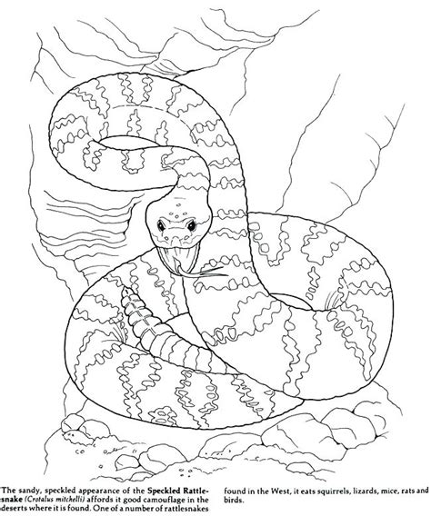 Desert Oasis Coloring Pages at GetColorings.com | Free printable ...