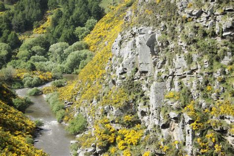 Ford Family Photos: Taieri Gorge and River - South Island, New Zealand