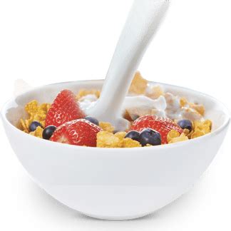 Bowl of Cereal - Flavourwala