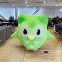 Duolingo GIFs on GIPHY - Be Animated