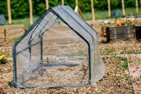 What Is A Grow Tent: Information About Grow Tents