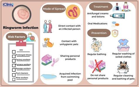 What Are the Manifestations of Ringworm Infection?