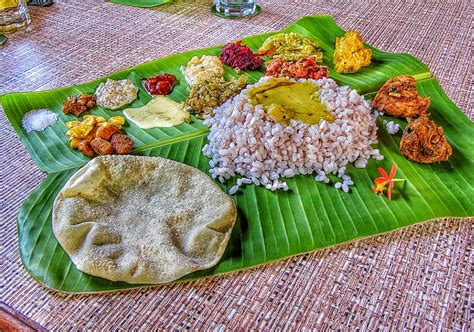 The healing power of Kerala