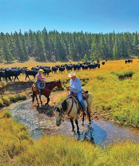 Your Questions About Dude Ranches Answered | Travel Wyoming