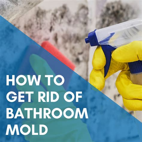 How To Get Rid of Bathroom Mold - A-Abel Family of Companies