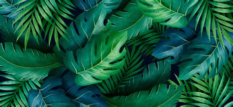 [100+] Tropical Leaves Desktop Wallpapers | Wallpapers.com