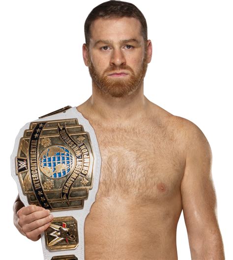 Sami Zayn - Intercontinental Champion by TheGomezDesigns on DeviantArt