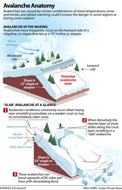 As Deaths Surge, Scientists Study the Link Between Climate Change and ...