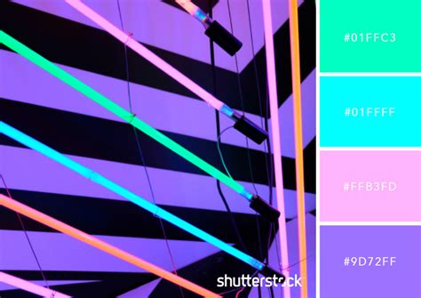 neon color palette - Google-Suche | Neon colour palette, Color palette ...