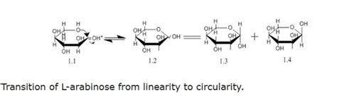 l arabinose benefits