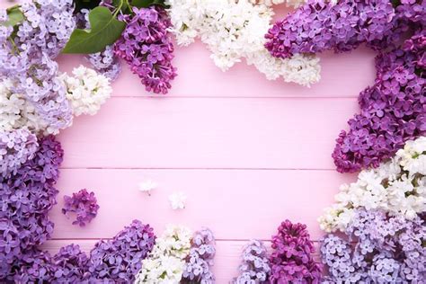 HD wallpaper: flowers, background, wood, lilac, purple | Purple flowers ...