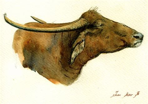 PAINTING - WATER BUFFALO Original Watercolor Painting, Original Watercolors, Water Buffalo, Zoo ...