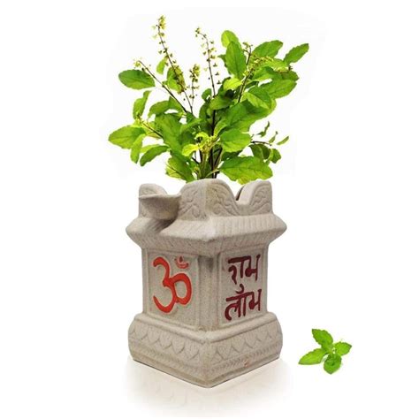 Ceramic Tulsi Pot white Medium for Garden Decorhome Decor - Etsy