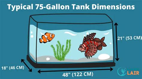 50 Gallon Aquarium Dimensions