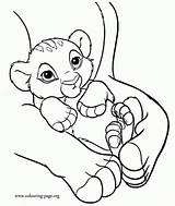 Cute Baby Lion Coloring Pages sketch template