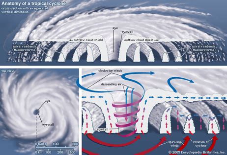 Ciclonii tropicali si tornadele, un semn ca planeta este vie si se regenereaza – De prin lume ...