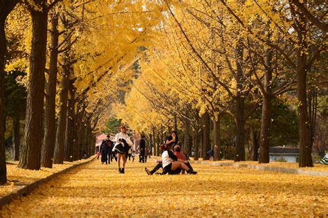 Don’t go to Korea During Its Autumn Season…..Find Out Why! - Saranghae Korea