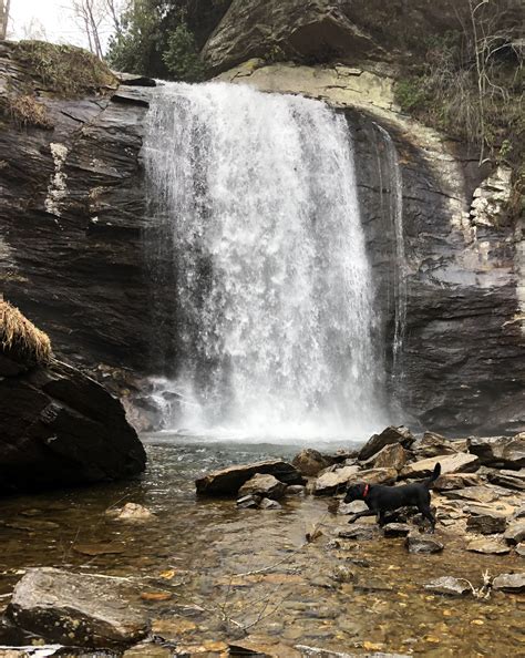 Looking Glass Falls : r/NorthCarolina