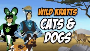 Wild Kratts Cats And Dogs Pbs Kids Game | CBBC Games | Play Online For Free