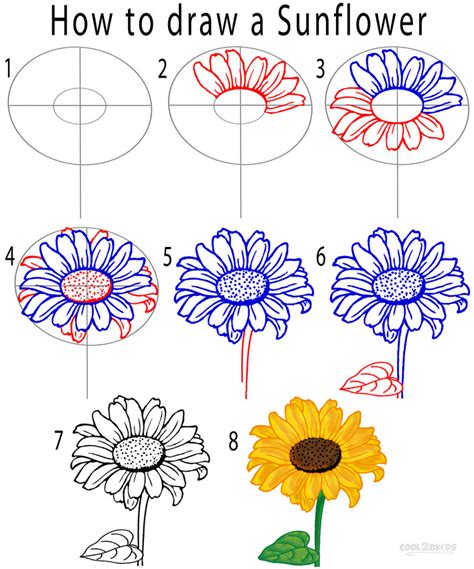 How To Draw Sunflowers