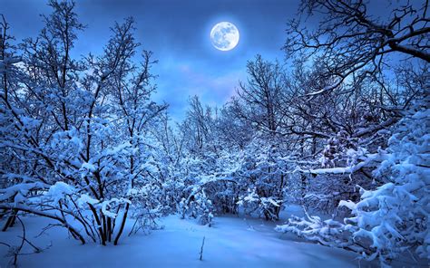 Wallpaper Winter Hd