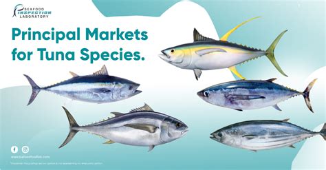 Principal Markets for Tuna Species - PT Seafood Inspection Laboratory